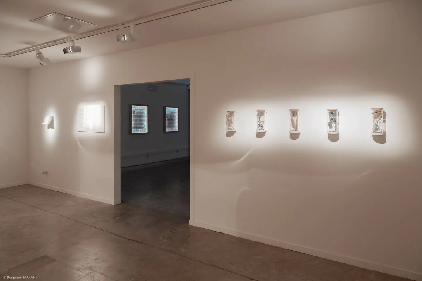 Exposition Love Is To Act, Brandon Ballengée – CAIRN Centre d’art, Digne-les-Bains
