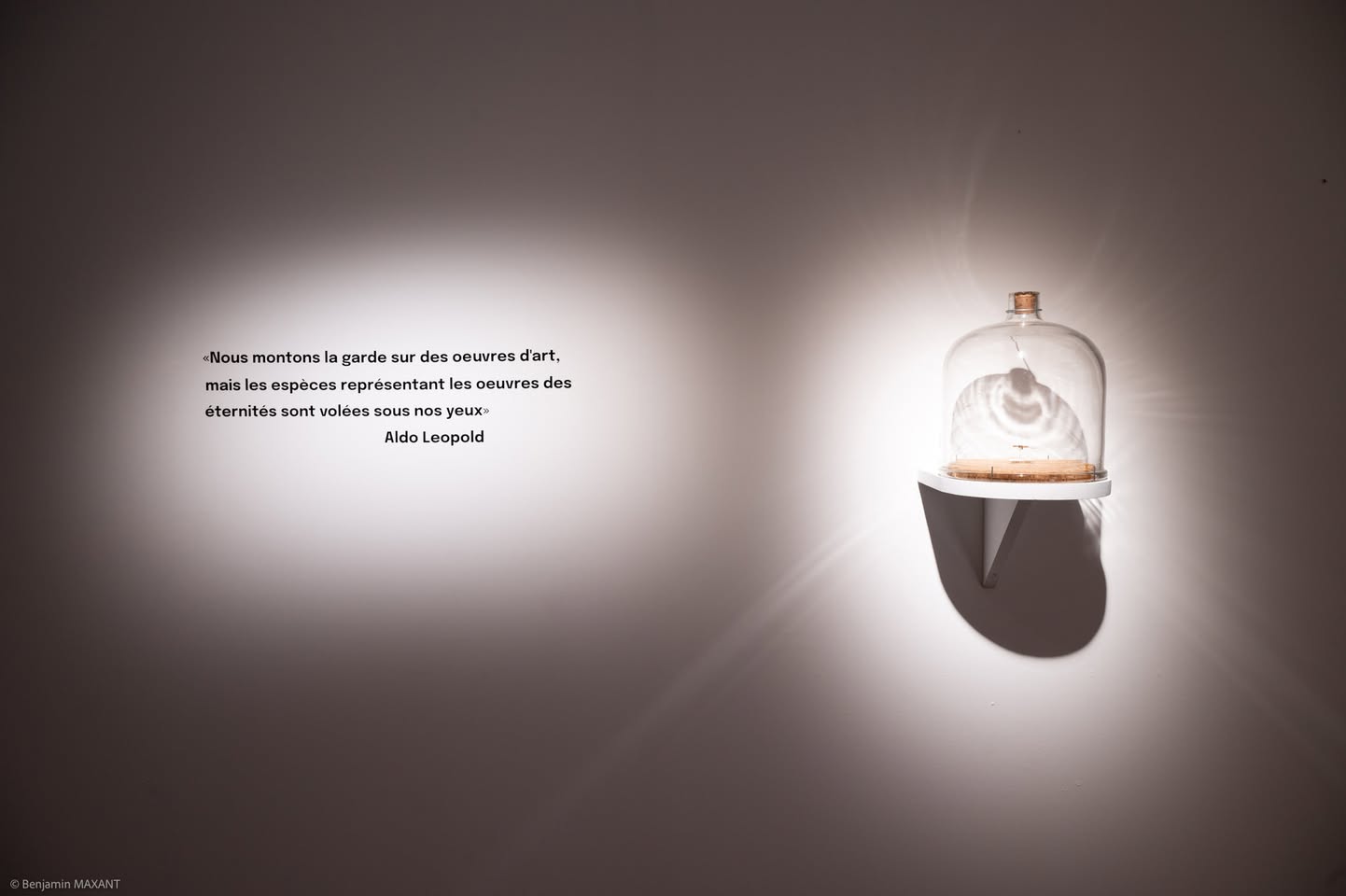 Vitrine sous cloche de l'exposition Love Is To Act au CAIRN Centre d'art